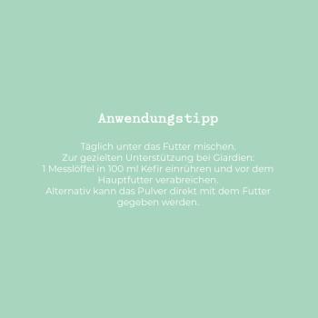 - Kopie