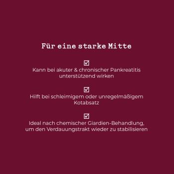 Mach mal Saft 100g
