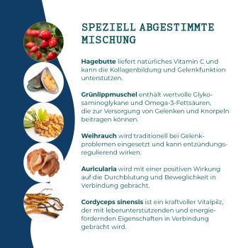 Rennsemmel 30g Probe