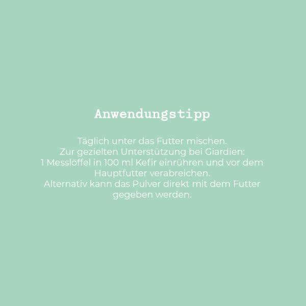 - Kopie