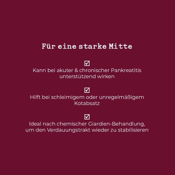 Mach mal Saft 100g